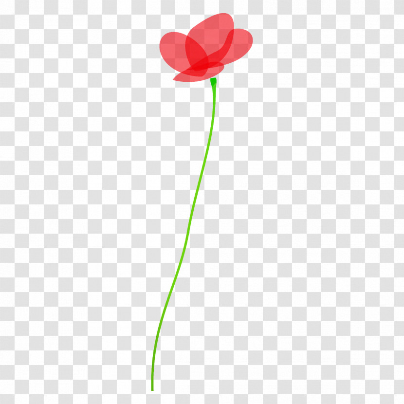 Poppy Flower Transparent PNG