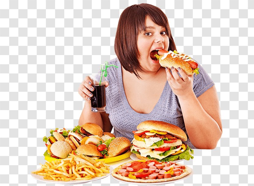Junk Food Cartoon - Sandwich - Fried Burger King Premium Burgers Transparent PNG