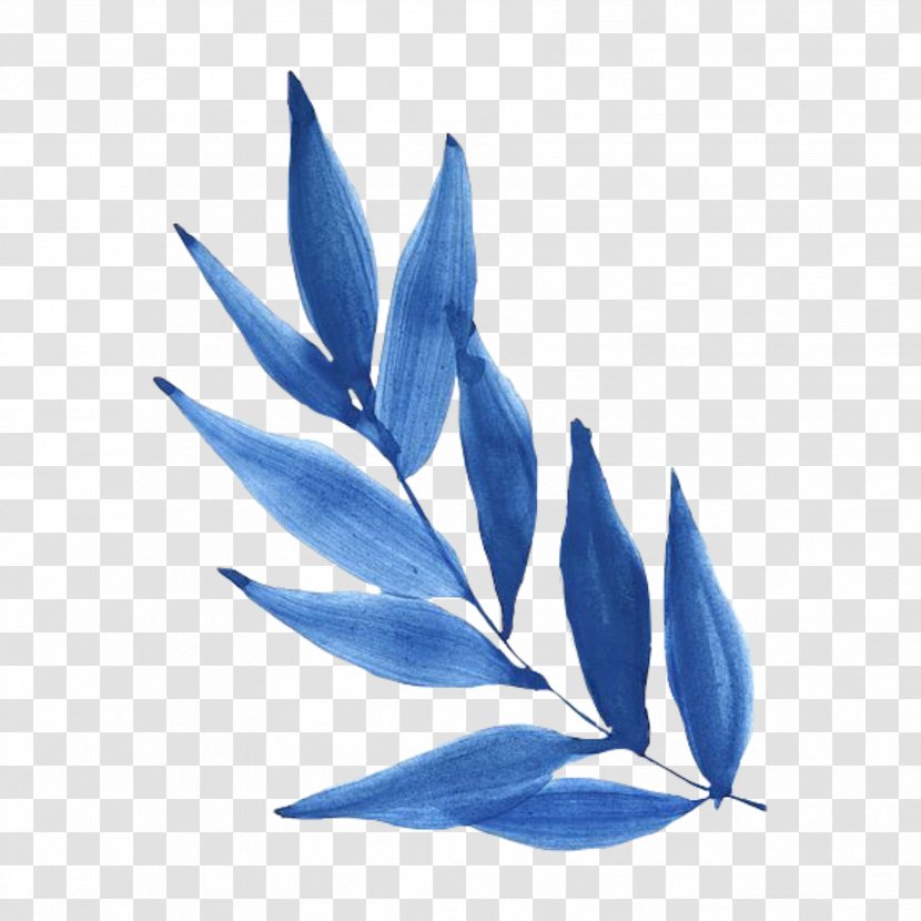 Leaf Blue Plant Flower Perennial Transparent PNG