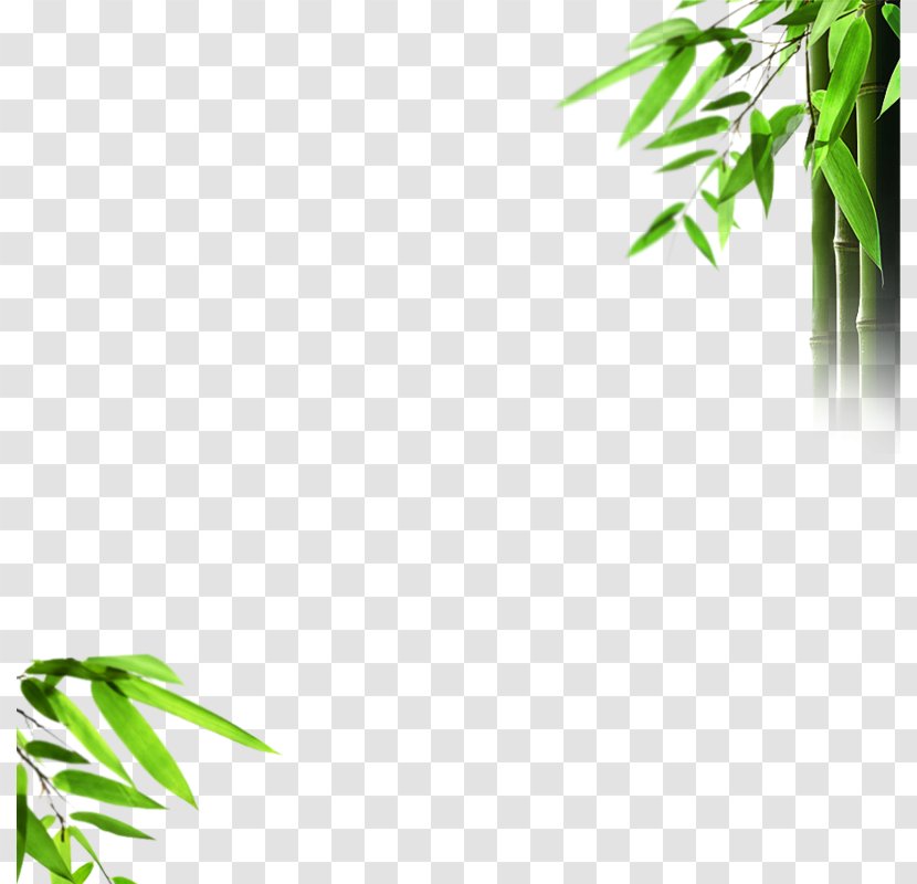 Light Bamboo Mural Wallpaper - Leaf Transparent PNG