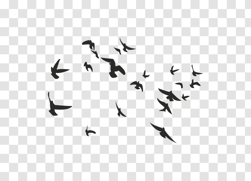 Bird Columbidae Flock - Tattoo Pattern Transparent PNG