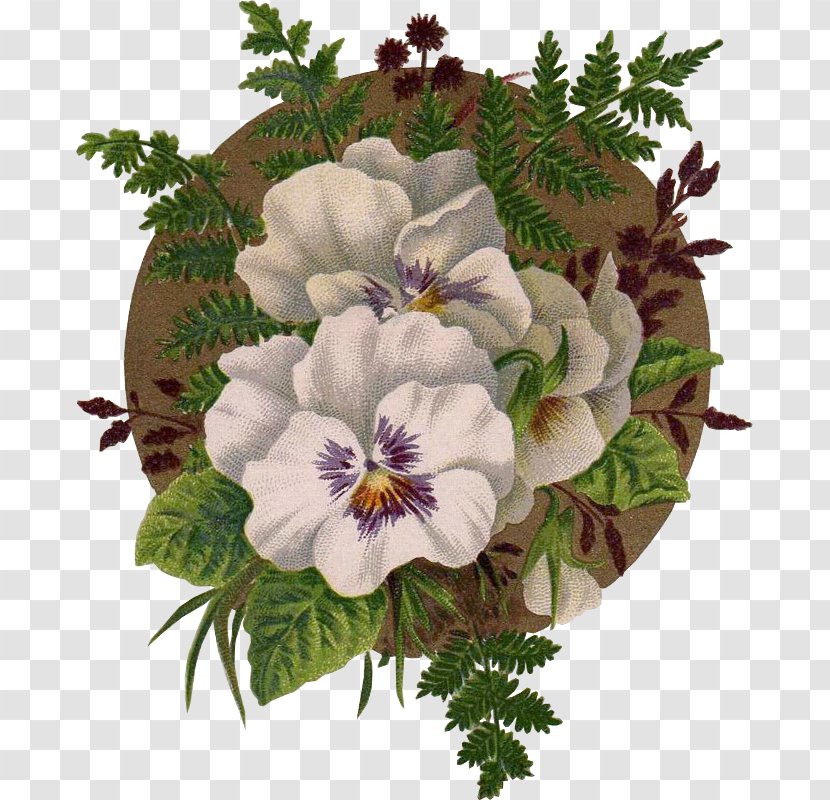 Pansy Flower Floral Design Seed Painting Transparent PNG