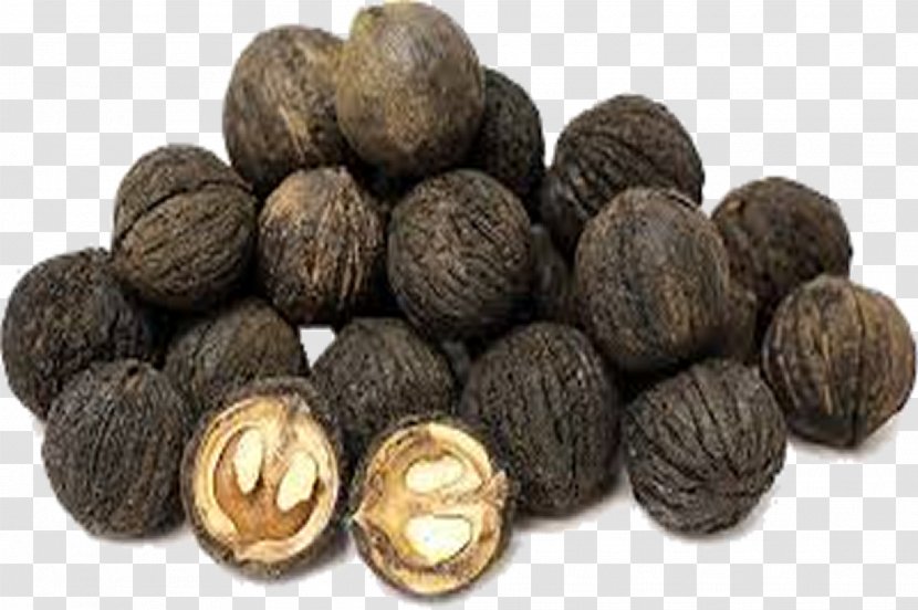 Eastern Black Walnut Dietary Supplement English - Nut Transparent PNG