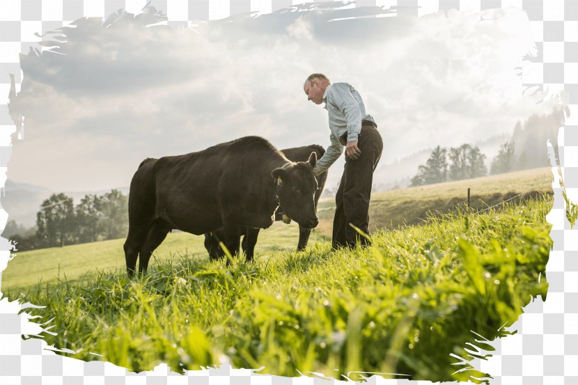 Wine Kaufdahoam.at OG Agriculture Organic Farming - Meadow - Wagyu Transparent PNG