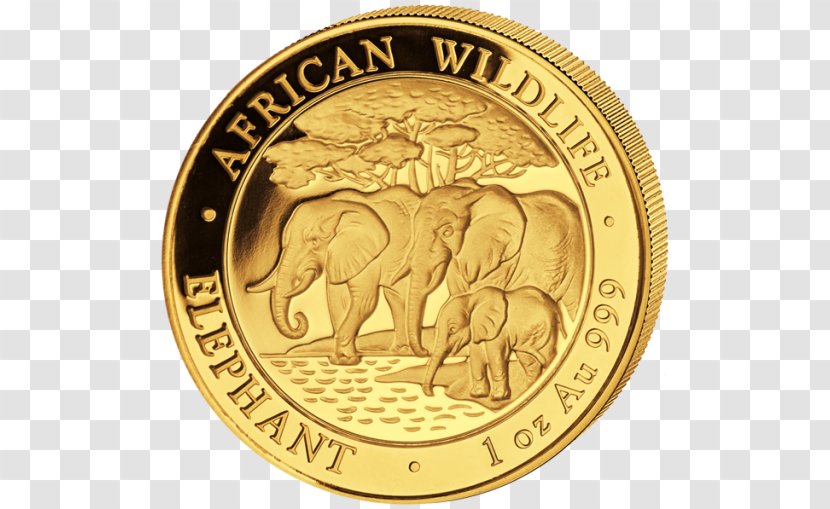Gold Coin Somalia Bullion - Material Transparent PNG