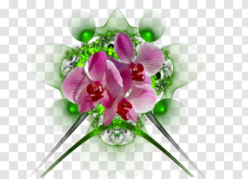 Floral Design Cut Flowers Flower Bouquet Transparent PNG