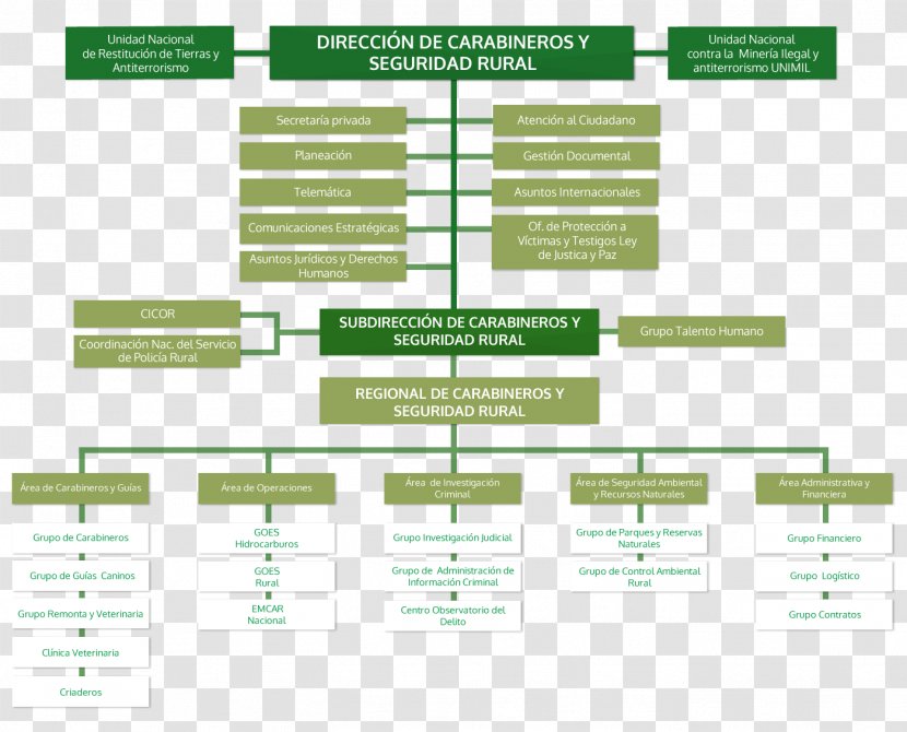 Organizational Chart Police Kriminaalpolitsei Directorate Of Criminal Investigation And Interpol - Officer Transparent PNG