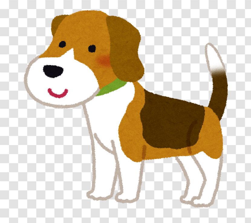 Beagle Puppy American Cocker Spaniel Shih Tzu Dog Food Transparent PNG
