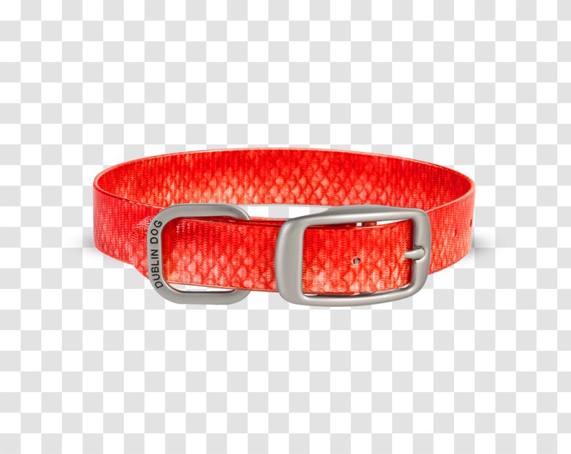 Dog Collar Puppy Toys - Red - Snapper Transparent PNG