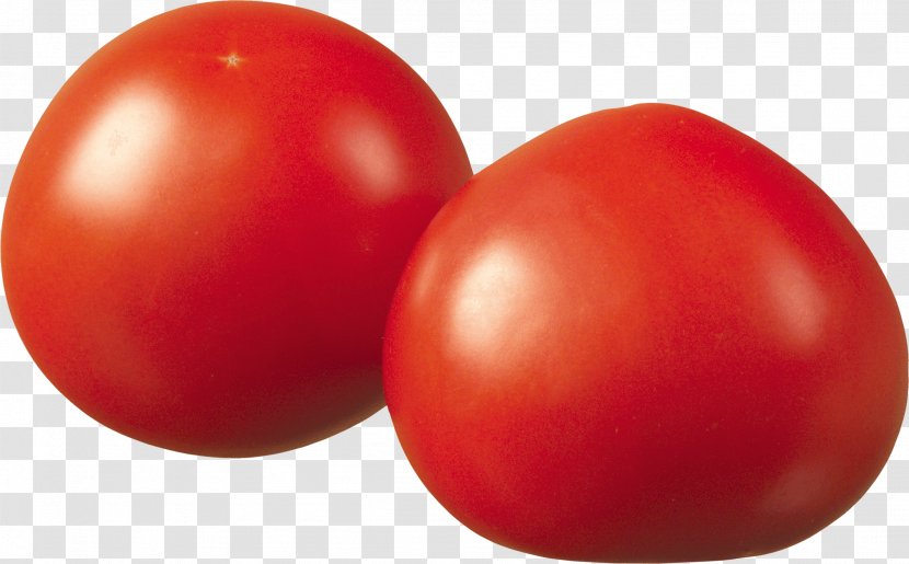 Plum Tomato Bush Food - Nightshade - Image Transparent PNG