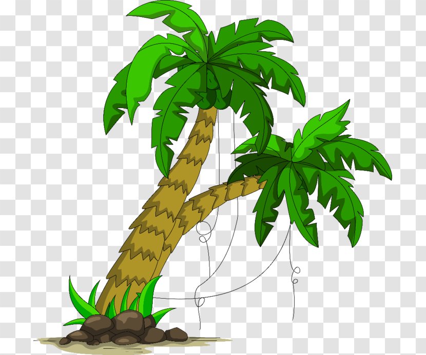 Arecaceae Coconut Child - Flowering Plant Transparent PNG