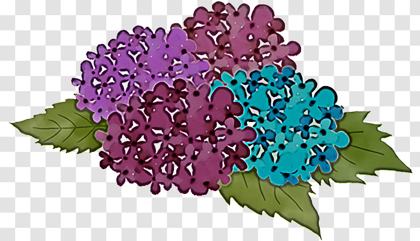 Floral Design Transparent PNG