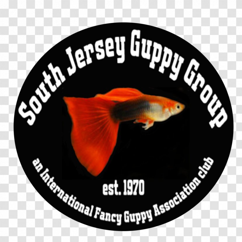 Guppy 2018 NEC Tropical Fish Convention Cichlid 0 Transparent PNG