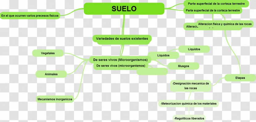 Soil Concept Map Cuadro Sinóptico Mind - Grass Transparent PNG