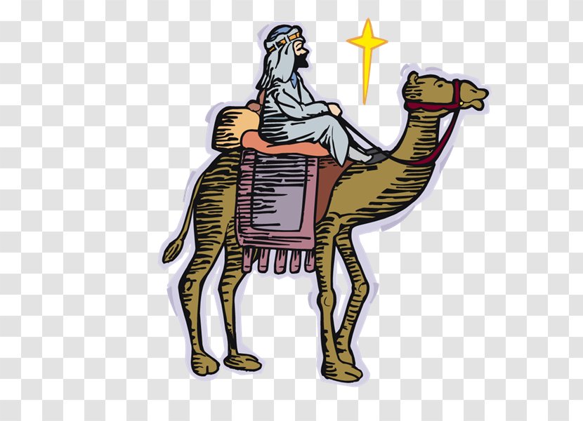 Dromedary Equestrian - Pack Animal - Camel Transparent PNG