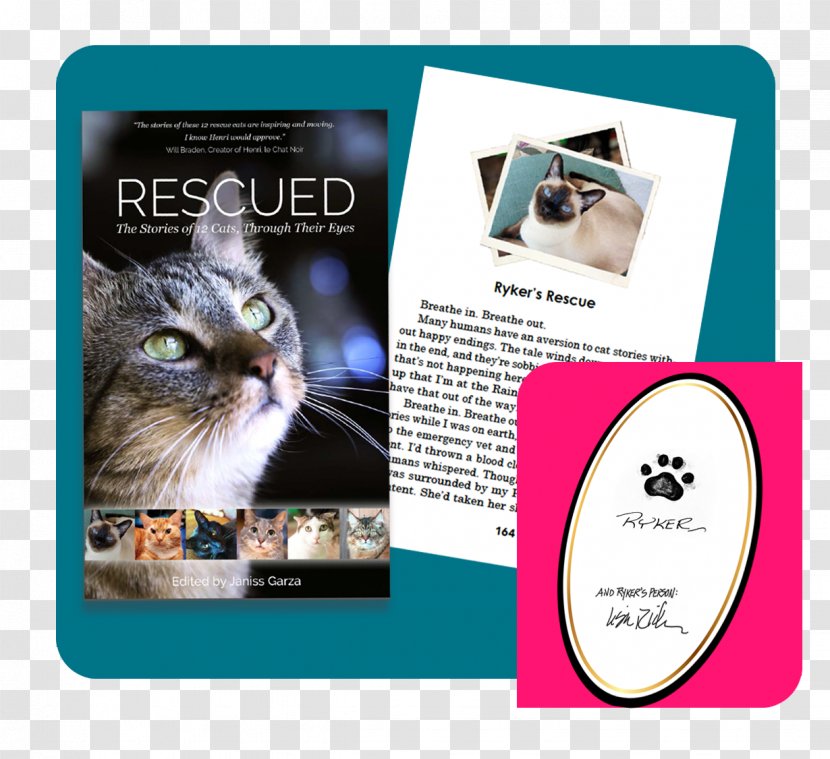 Rescued: The Stories Of 12 Cats, Through Their Eyes Whiskers Tonkinese Cat Mouse Kitten - Supply - Magic Book Transparent PNG