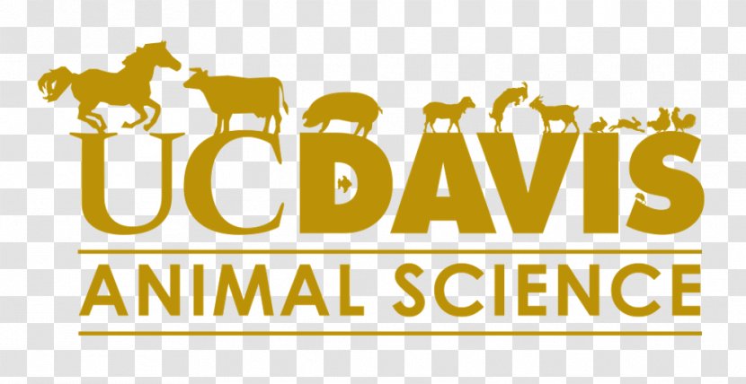 UC Davis Animal Science Horse Barn Department Of Research Transparent PNG
