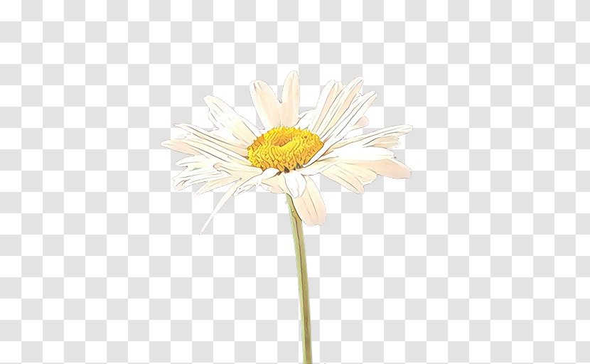 Chrysanthemum Oxeye Daisy Transvaal Cut Flowers Dandelion - Wildflower - Yellow Transparent PNG