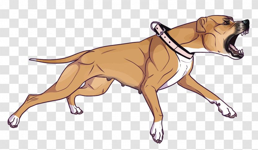 Boxer Dog Breed Bark - Crossbreeds - Vector Ferocious Transparent PNG