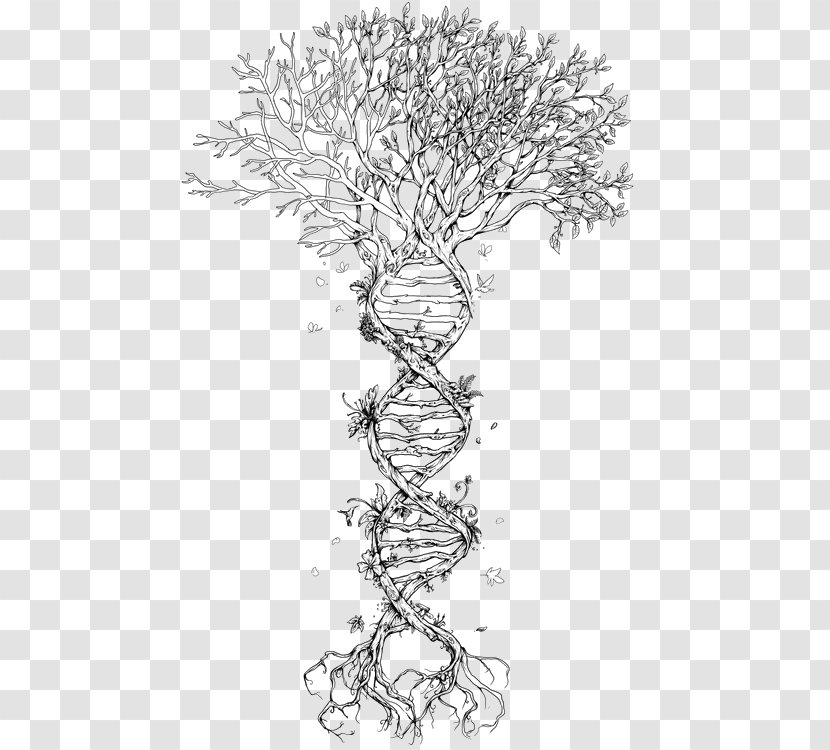 The Double Helix: A Personal Account Of Discovery Structure DNA Tree Nucleic Acid Helix Genetics - Organism - Watercolor Colorful Life Transparent PNG