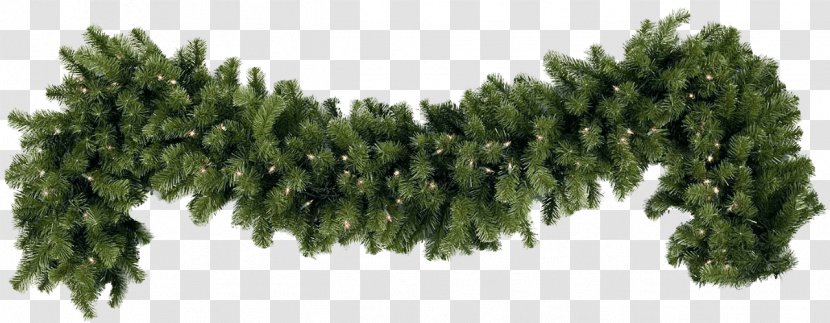 Garland Christmas Decoration Wreath Lights - Fir - Simple Transparent PNG