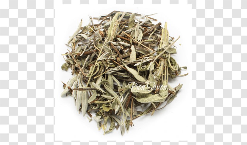 Darjeeling Tea White Nilgiri Mein Teekontor - Black Transparent PNG