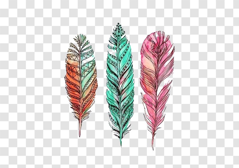 Feather Drawing Watercolor Painting - Color Transparent PNG