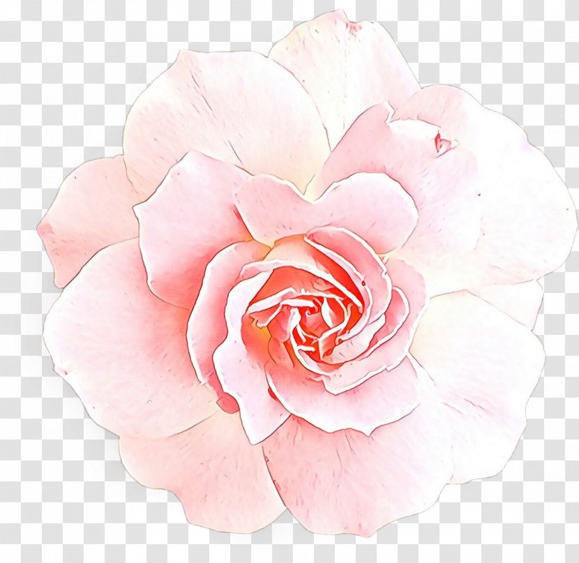Watercolor Pink Flowers - Plant - Artificial Flower Perennial Transparent PNG