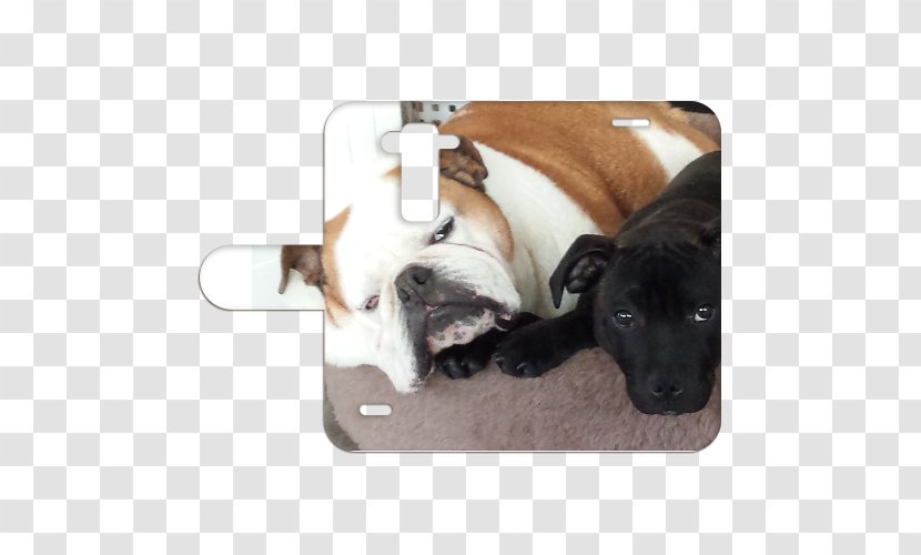 Dog Breed Non-sporting Group LG G3 S Puppy Telephone Transparent PNG