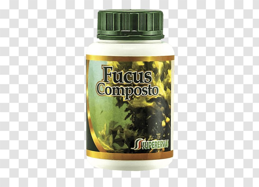 Mexican Tea Capsule Pharmaceutical Drug Garden Rhubarb Anthelmintic - Phytotherapy - Compos Transparent PNG