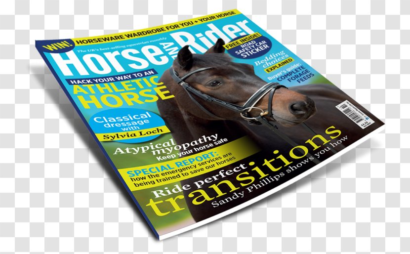 Horse Equestrian Advertising Brand Product - Best Seller Magazine Transparent PNG