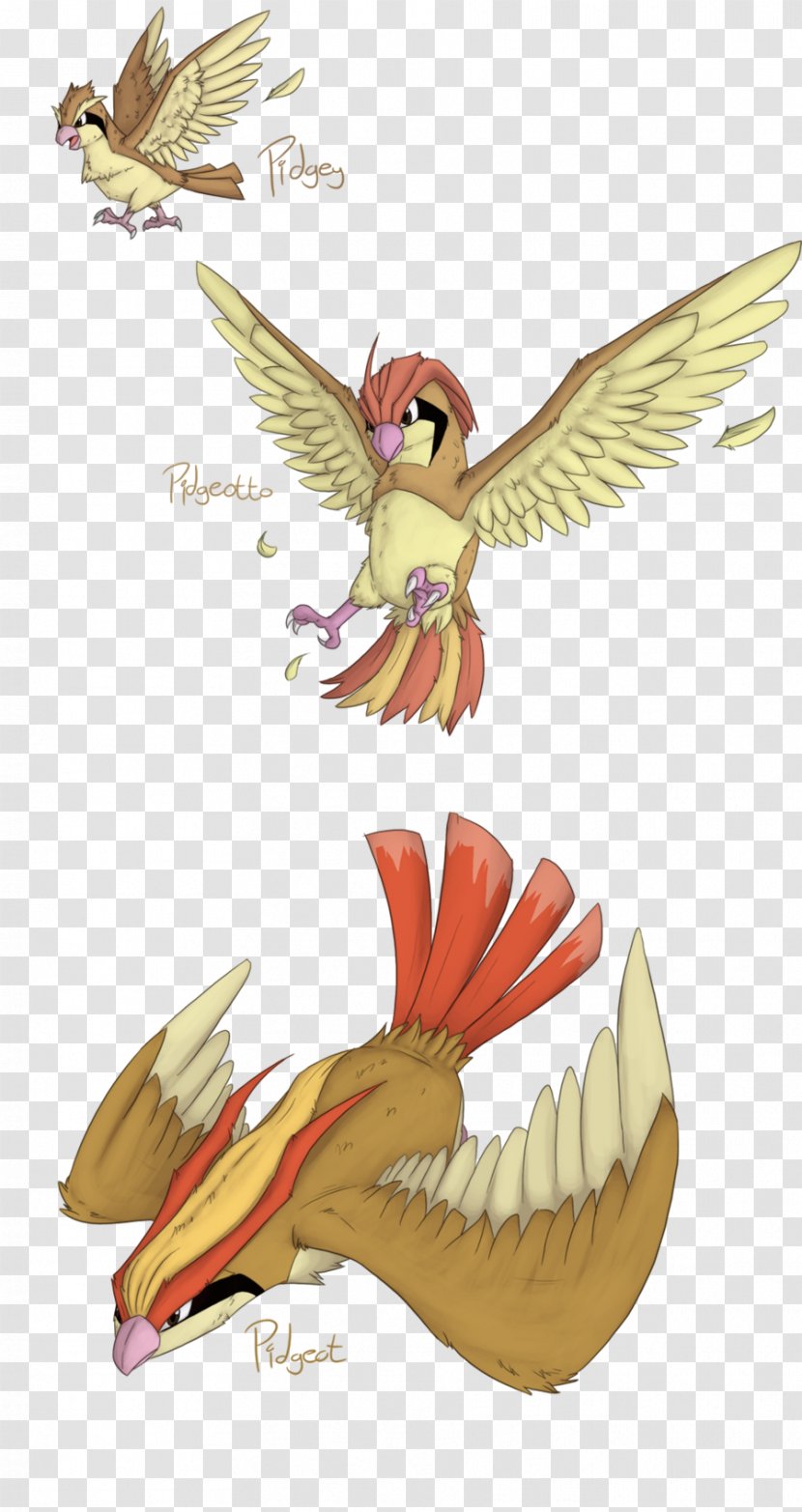 Pidgeotto Pokémon Pidgey Drawing - Beak - Pokemon Transparent PNG