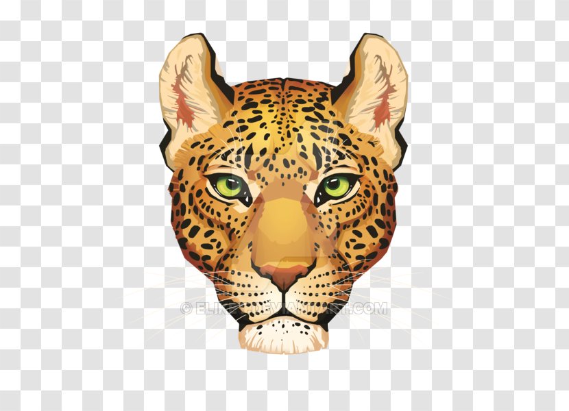 Jaguar Cheetah Felidae Leopard Cougar - Snout Transparent PNG