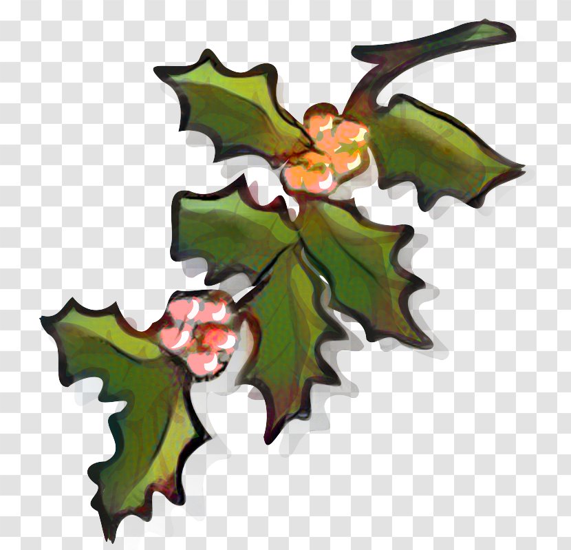 Holly Aquifoliales Christmas Ornament Graphics Clip Art - Oak - American Transparent PNG
