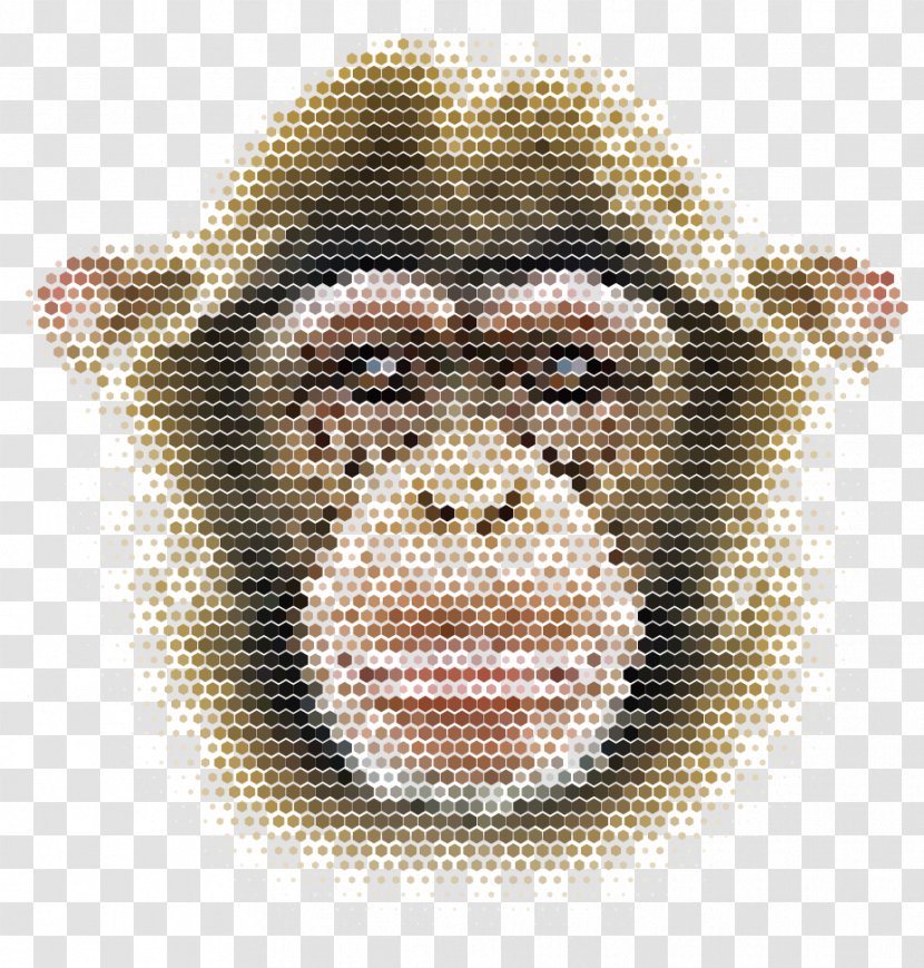 Chimpanzee Monkey Shape Illustration - Vector Mosaic Transparent PNG