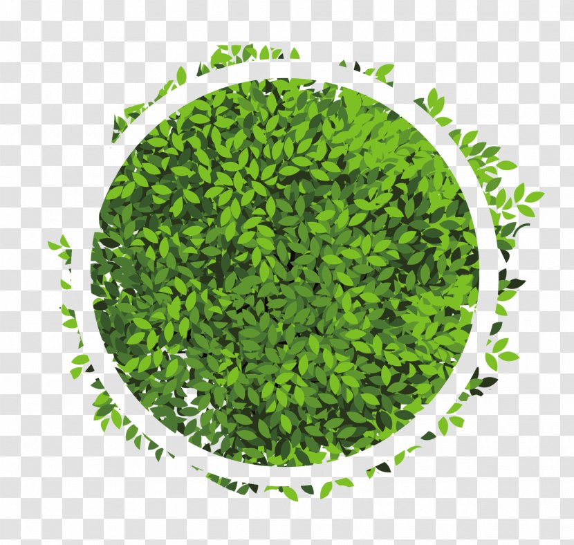 Circle - Green - Leaves Effect Elements Transparent PNG