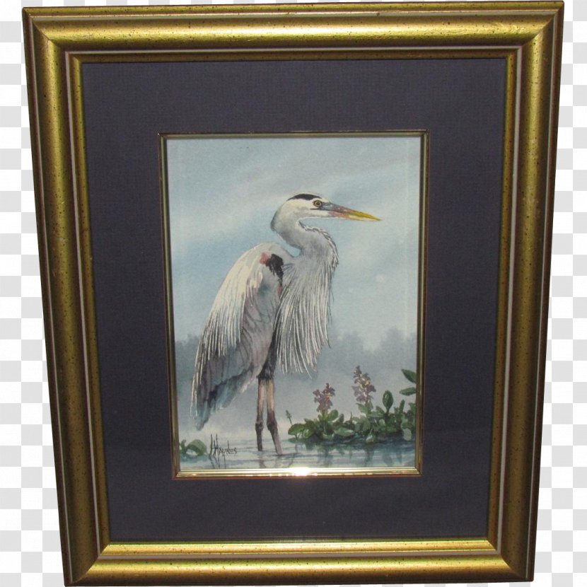 Painting Picture Frames Beak Seabird Transparent PNG