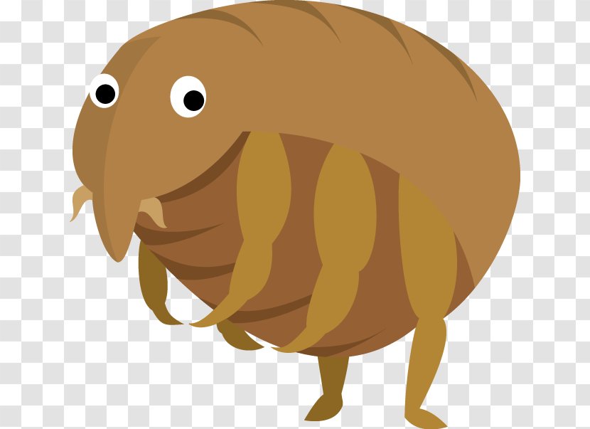 Flea Acari Insect Cat - Food Transparent PNG