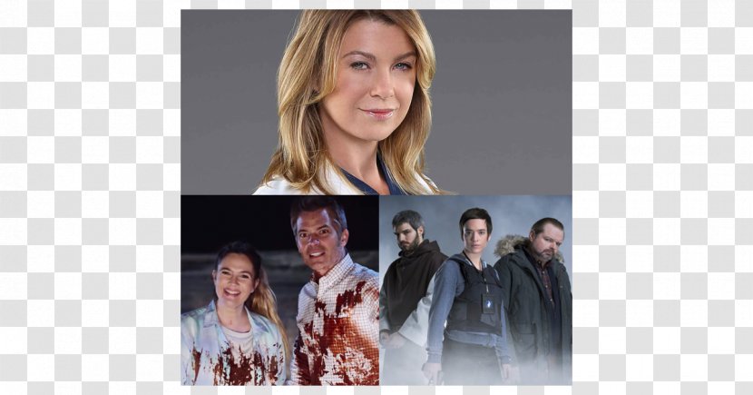 Grey's Anatomy - Tree - Season 13 Fernsehserie TelevisionOthers Transparent PNG