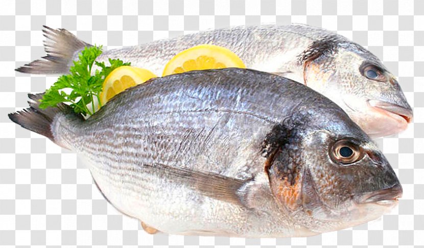 Food Fish Protein Gilt-head Bream Fat - Red Seabream Transparent PNG