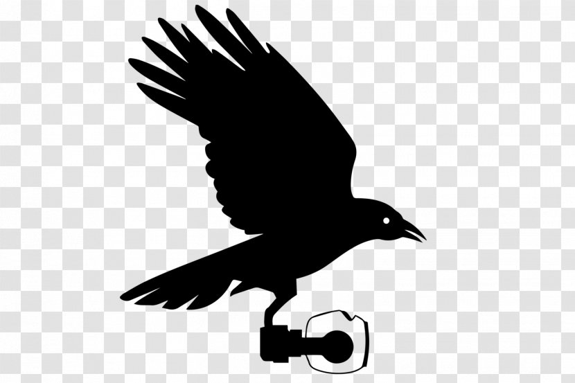 Bird Logo - Wing - Perching Transparent PNG