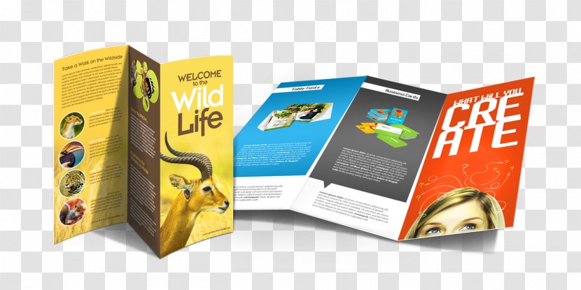 Packaging And Labeling Brand Carton - Multimedia - Trifold Brochures Transparent PNG