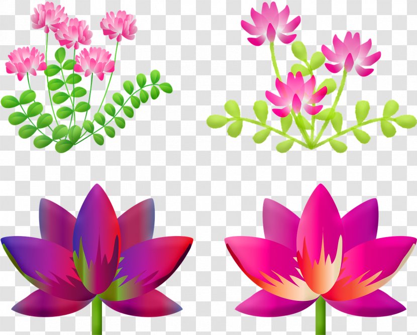 Nymphaea Nelumbo Image Flower Photography - Lotus Family - Summer Flowers Banner Transparent PNG