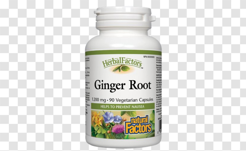 Ginkgo Biloba Phytosome Health Capsule Vegetarian Cuisine - Service - Ginger Root Transparent PNG