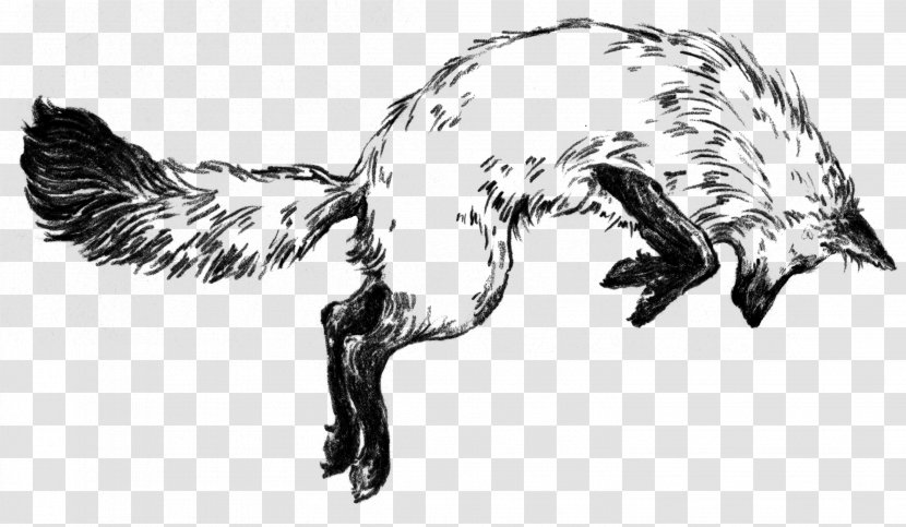 Fox In The Snow Cafe Bakery - Line Art Transparent PNG