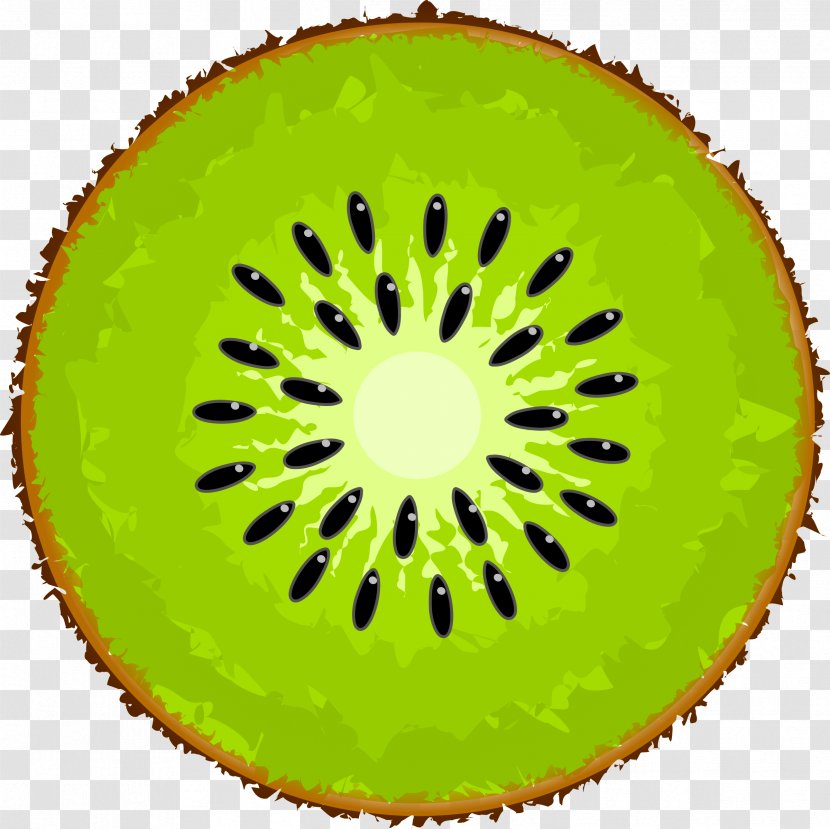 Kiwifruit Clip Art - Kiwi Slice Image Transparent PNG