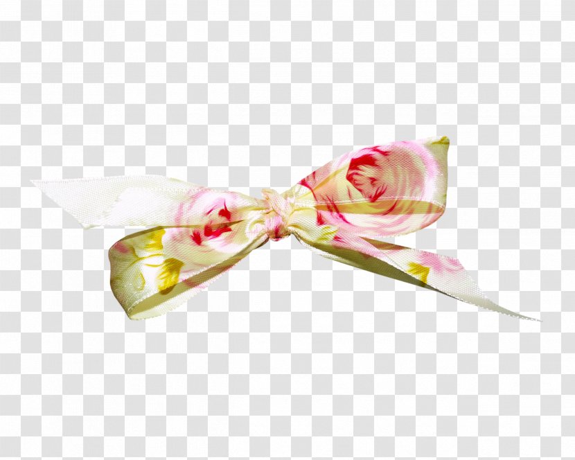 Digital Image - Fashion Accessory - Bow Transparent PNG