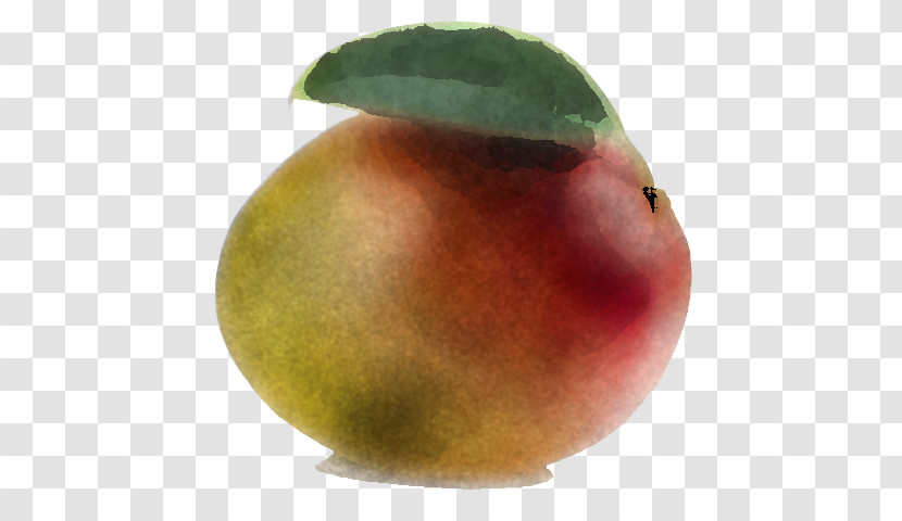 Fruit Apple Apple Transparent PNG