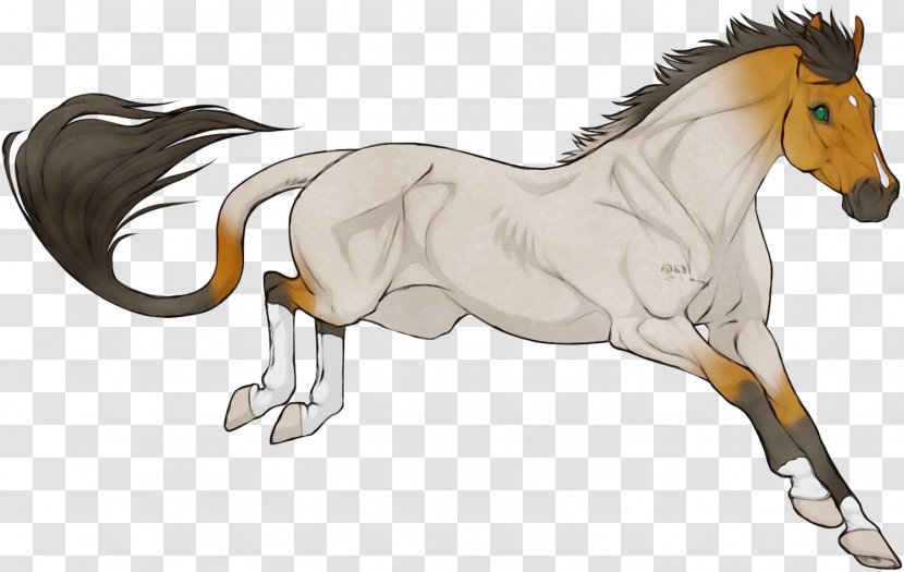 Horse Animal Figure Shetland Pony Mane Line Art - Watercolor - Stallion Transparent PNG