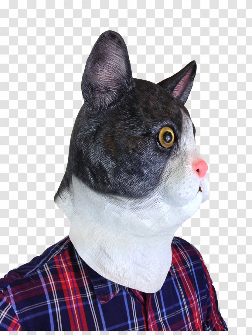 Whiskers Cat Mask Headgear Costume Party - Rubber Johnnies Masks Transparent PNG